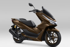 Makin Mewah, AHM Luncurkan Varian Warna Terbaru Honda PCX160, Ini Pilihan Warna Baru dan Fiturnya