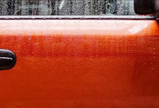 Jangan Anggap Sepele, Sering Terpapar Air Hujan, Ini Resiko yang Terjadi pada Cat Mobil