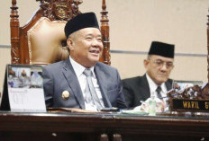 Wagub Cik Ujang Apresiasi Kinerja Pansus Perkebunan DPRD Sumsel dalam Mendorong Tata Kelola yang Berkeadilan
