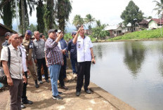 Cukupi Kebutuhan Ikan, Pemkab Lahat Kebut Pembangunan BBI 