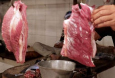 Peringatan! RPH Naikan Harga Daging Sapi Jelang Ramadan dan Idul Fitri, Bapanas Bakal Laporkan ke Polda