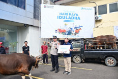 Pelindo Group Regional 2 Palembang Salurkan 20 Hewan Kurban, Perkuat Kebersamaan dengan Masyarakat