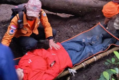 3 Pendaki Gunung Dempo Dievakuasi, Terserang Hipotermia dan Kelelahan 