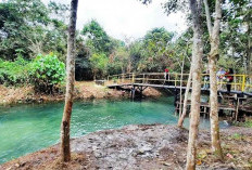 Pesona Alam Sungai Mengkuang, Surganya Pecinta Alam di Desa Jambu, Muara Enim