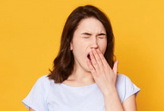 Bukan Cuma Perkara Ngantuk, Ini yang Terjadi Pada Otak saat Menguap