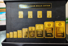 Rekor Luar Biasa! Emas Antam Hari Ini 29 Januari Meroket Rp 165 Ribu, Logam Mulia 1 Gram Tembus Rp 3,1 Juta
