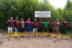 Peringati Hari Mangrove Sedunia, Kilang Plaju Tegaskan Komitmen Jangka Panjang Lestarikan Ekosistem Pesisir