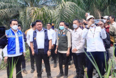  Herman Deru dan Wamen LH Perkuat Kolaborasi Pusat-Daerah Tangani Karhutla di Sumsel