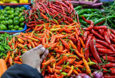 Jelang Ramadan Harga Bahan Pokok di Palembang Merangkak Naik