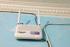 Cara Mudah Atasai Sinyal Wifi Hilang, Coba Tiga Langkah Berikut