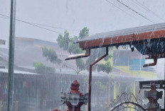 Potensi Hujan di Palembang Berlanjut Hingga Sepekan ke Depan, Waspadai Petir