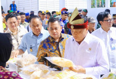 Wagub Sumsel Cik Ujang Usulkan SPBUN dan Jembatan Permanen saat Dampingi Menko Polkam di KNMP Sungsang
