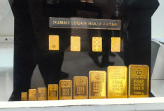 Harga Emas Antam Hari Ini Kamis 23 April 2026 Anjlok Rp 25 Ribu, Logam Mulia 2 Gram Turun Jadi Rp 5,55 Juta