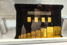 Harga Emas Antam Hari Ini Selasa 19 Mei 2026 Melejit Rp 25 Ribu, Logam Mulia 1 Gram Jadi Rp 2,789 Juta