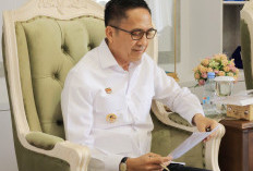 Pemkot Palembang Gaspol Sensus Ekonomi, Akurasi Data Jadi Dasar Pembangunan