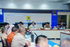 Mobil Listrik di Sumsel Tumbuh Dua Kali Lipat, PLN Perkuat Layanan melalui SPKLU Center Pertama di Sumsel