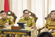 Respon Kilat Ratu Dewa, Evaluasi CFN dan CFD, Kritik Warga Jadi Bahan Perbaikan