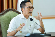 Wujudkan Kota Berkarakter, Walikota Palembang Ratu Dewa Lakukan Transformasi Estetika Kota