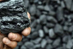 Info Emiten Hari Ini, MEJA Calon Pengendali Tambang di Sumsel, OJK Beri Izin Rights Issue PACK Rp3,25 Triliun