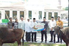 Bank Sumsel Babel distribusikan Bantuan Hewan Kurban ke Masyarakat Sumsel dan Babel di Idul Adha 1447 H 