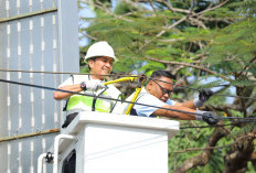 Wali Kota Ratu Dewa Tata Palembang Bebas Kabel Semrawut, Kick Off Penataan Kabel Internet