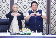 H-10 Jalan Nasional Berlubang di Sumsel Mulus,  Palembang - Betung Jadi Sorotan Khusus