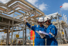 Info Emiten Hari Ini, Laba Bersih Medco Melejit 282 Persen, Marketing Sales PANI Tembus 112 Persen