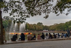 Ratu Dewa Realisasikan Pembangunan Air Mancur Menari-Jogging Track di Kambang Iwak Tahun Ini