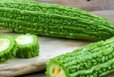 Si Pahit yang Punya Banyak Khasiat, Ini 6 Manfaat Pare bagi Kesehatan Tubuh