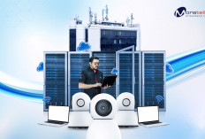 Solusi Digital untuk UMKM: Amankan Operasional dan Bangun Kredibilitas Bisnis 