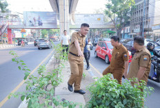 Sambut HUT ke-1343, Sekda Aprizal Tinjau Pengecatan Trotoar dan Ajak Pelaku Usaha Percantik Palembang