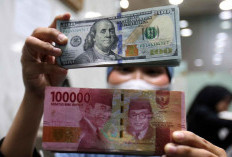 Rupiah Kian Melemah, Tembus Diatas Rp 17.700 per Dolar AS, Ini Dampaknya Bagi Masyarakat