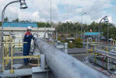 Pertamina EP Temukan Sumur Minyak Baru di Struktur Abab Sumsel, Catat Potensi Awal 505 BOPD