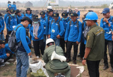 Pengalaman di Kebun Dibawa ke Ruang Kelas, Pelatihan Sawit OKU Bahas Persoalan Nyata Pekebun