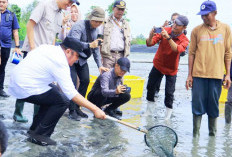 Panen Udang di Sungai Menang OKI, Gubernur Herman Deru Motivasi Petambak Tingkatkan Produksi dan Daya Saing