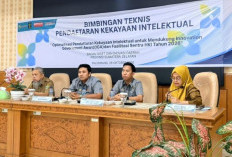 Kemenkum Sumsel dan BRIDA Dampingi OPD se-Sumsel Daftarkan Kekayaan Intelektual Hasil Inovasi Daerah