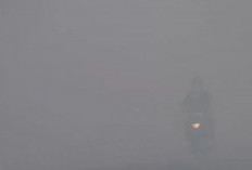 Kabut Asap Palembang Kian Pekat, Penerbangan Singapura Dibatalkan, Kualitas Udara Talang Betutu Berbahaya