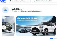 OLX Hadirkan Sub Kategori Mobil Baru, Permudah Konsumen Cari Kendaraan