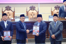Herman Deru Tegaskan Komitmen Transparansi, Sumsel Kembali Raih Opini WTP dari BPK RI