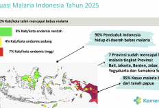 Sumsel Bebas Malaria Bersama 7 Provinsi Lain, Indonesia Kejar Eliminasi Malaria pada 2030