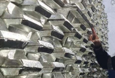 Info Emiten Hari Ini, Laba TINS Tahun 2025 Naik Siginifikan, KEJU Bagi Dividen 50 Persen dari Laba 