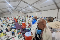 Jemaah Haji Mulai Bergerak ke Arafah, Kemenhaj Imbau Jaga Kesehatan Selama Armuzna