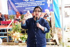 Irma Suryani Ajak Kolaborasi Masyarakat Sukseskan Program MBG di Pagar Alam