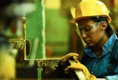 10 Pekerjaan dengan Gaji Tinggi, Bisa Terima Ratusan Juta, Yuk Intip Apa Aja!