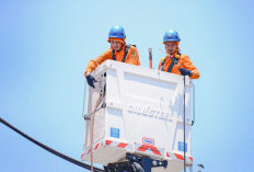 Sistem Kelistrikan Nasional Andal, PLN Berhasil Jaga Layanan Momen Pergantian Tahun