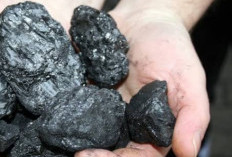 Info Emiten Hari Ini, UNTR Catat Penjualan Batu Bara 10 Juta Ton hingga RAJA Bagi Dividen Interim 28 Januari 