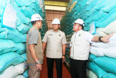  Gubernur Herman Deru Dampingi Wamentan Sudaryono Kunker ke OKU Timur, Tinjau Irigasi hingga Percepatan Tanam