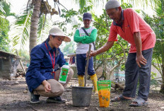 Dorong Produktivitas Pertanian, PT Pusri Palembang Tingkatkan Edukasi Pemupukan Berimbang