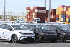 Ramai di Pasaran, Ternyata Indonesia Bukan Negara Pengimpor Mobil China Terbanyak, Ini Daftar 10 Besarnya