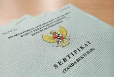 Sertifikat Tanah Hilang? Jangan Panik Dulu, Ini Cara Mengurusnya dengan Mudah dan Cepat